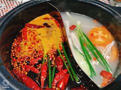 红汤锅底-九街淑芬掌中宝串串公司(两路金港国际店)