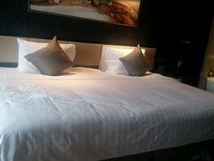 android_upload_pic-常州环球恐龙城维景国际大酒店