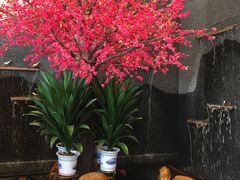 -新好景海鲜酒家(新塘店)