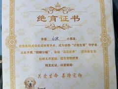 -博特宠物医院24h犬猫全科.骨科·异宠
