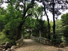 -叶家花园