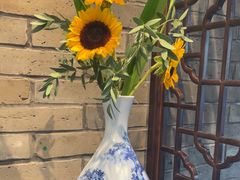 -鸢飞潍坊菜馆(鸢飞大酒店)