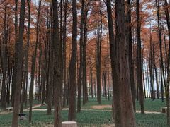 -汉水公园
