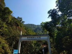 -银瓶嘴森林公园