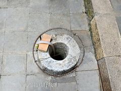 -真庆观