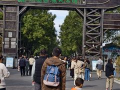 -溱湖国家湿地公园