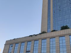 -郑州美盛喜来登大酒店