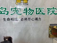-半岛宠物医院24小时(科华中路店)