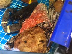 -驻海渔市(置信店)