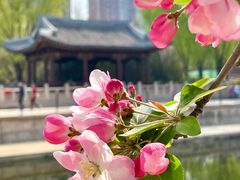 -元大都城垣遗址公园