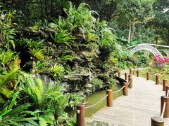 -深圳仙湖植物园