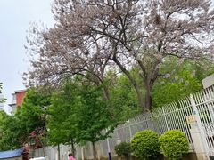 -启明东润幼儿园(东润园)