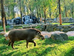 -北京野生动物园