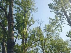 android_upload_pic-灵溪风景区