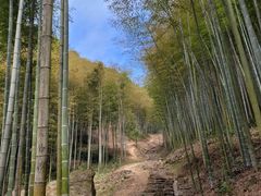 -五泄景区