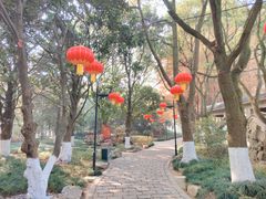 -瀛洲公园