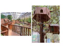 -呀路古热带植物园