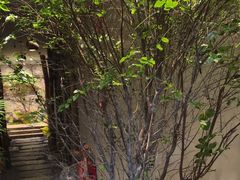 -森SPA·泰式按摩·精油Massage(宝安中心店)