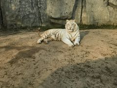 -北京野生动物园