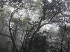 -梧桐山风景名胜区