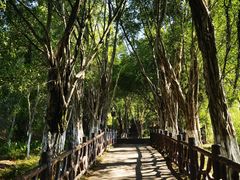 -丰都鬼城名山景区