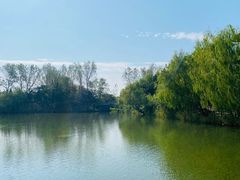 -溱湖国家湿地公园