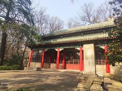 -灵谷景区