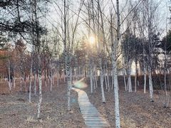 -长春世界雕塑园冰雪艺术天地