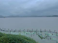 -湖畔居茶楼(湖滨店)