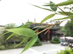 -帐篷客·溪龙茶谷度假酒店