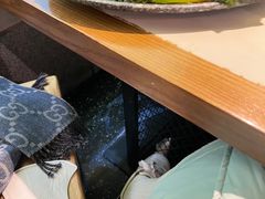 -哥老官重庆美蛙鱼头(宝山龙湖店)