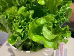 -古乐牛香·鲜牛肉牛杂火锅(新区店)