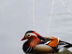 -颐和园