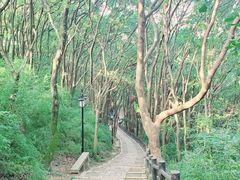 -苏州上方山国家森林公园