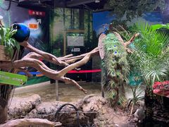 -正佳雨林生态植物园