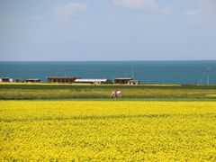 -青海湖国家重点风景名胜区