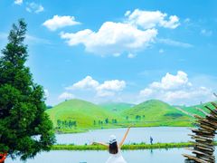 -仰天湖大草原