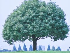 -无锡新湖铂尔曼大酒店