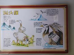 -上海昆虫博物馆