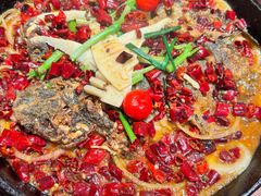 -老板恋上鱼(恒隆广场店)