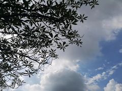 -加蒙特森林幼儿园(广州市增城区店)