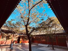 -北京颐和宾馆