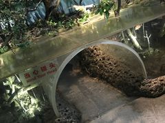景点-中国湿地博物馆