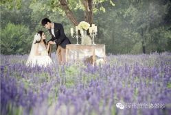 -施华洛婚纱摄影会所(范阳中路店)