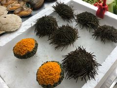 -蚝专家(北滘店)
