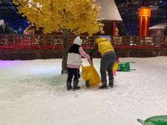 -宁波冰雪大世界(北仑区)