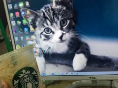 -星巴克(汕尾信利城市广场店)