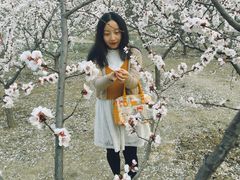 -森林公园(尖草坪区)