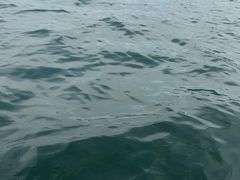 -千岛湖-欢乐水世界