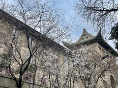 -武汉大学-樱园